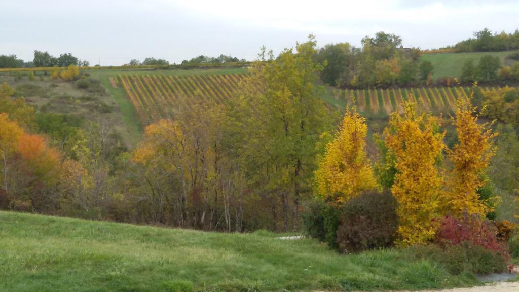 Les Hauts D'Albas Albas  Стая снимка