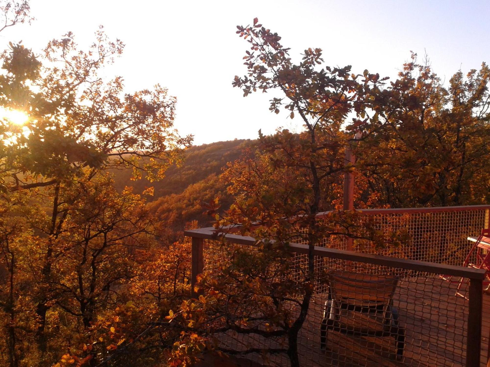 Les Hauts D'Albas Albas  Стая снимка