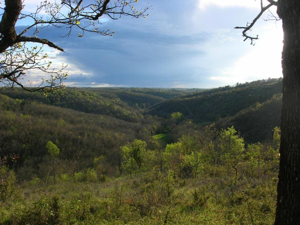 Les Hauts D'Albas Albas  Стая снимка